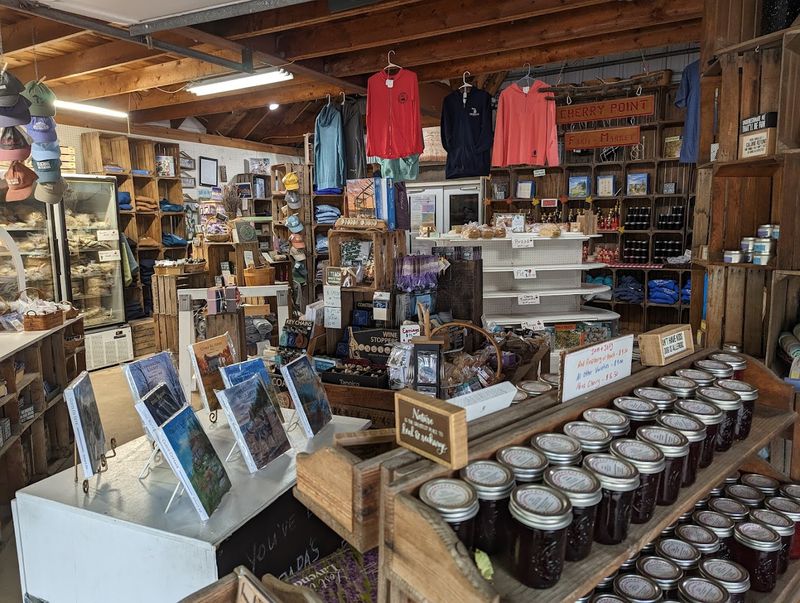 Barbara Bull: The Author Who Grows Lavender