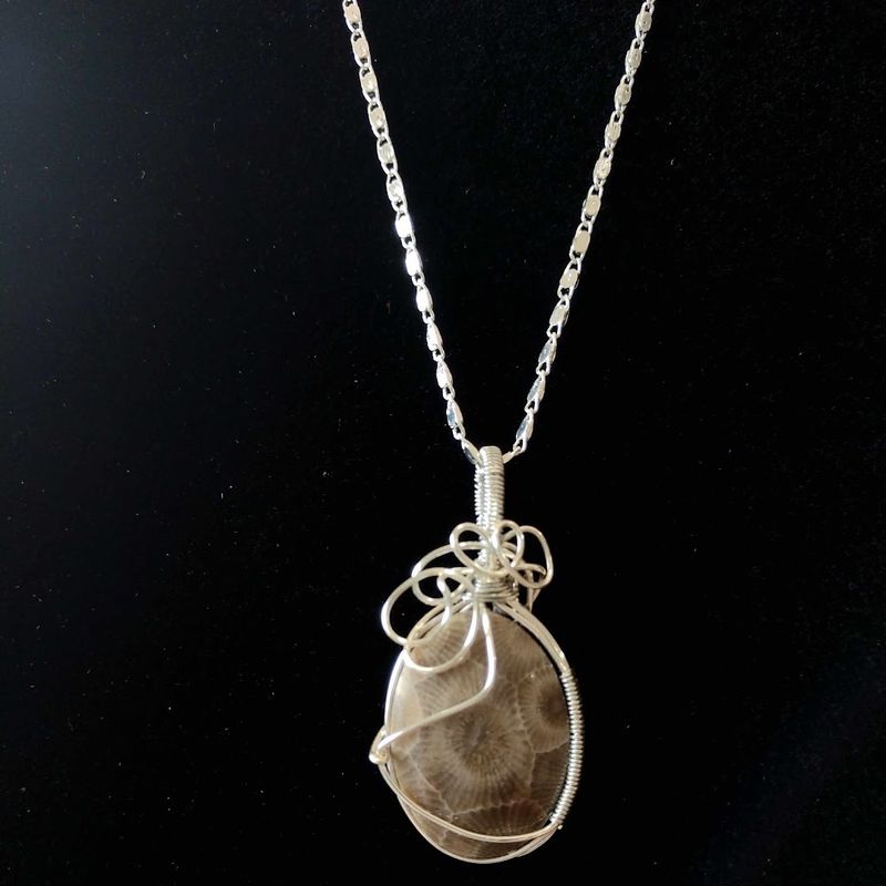 Hunt for Petoskey Stones