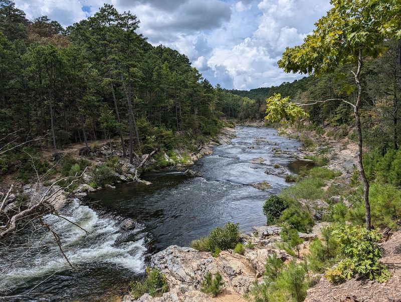 Wildlife and Nature Watching Throughout the Seasons