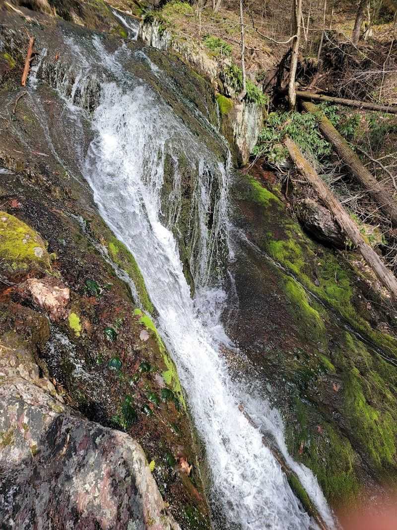 The Teacup and Silver Spray