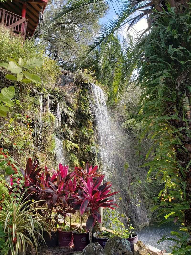 A Plant Collection That Spans the Globe