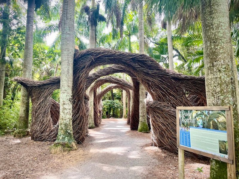 Membership Perks and Value for Repeat Visitors