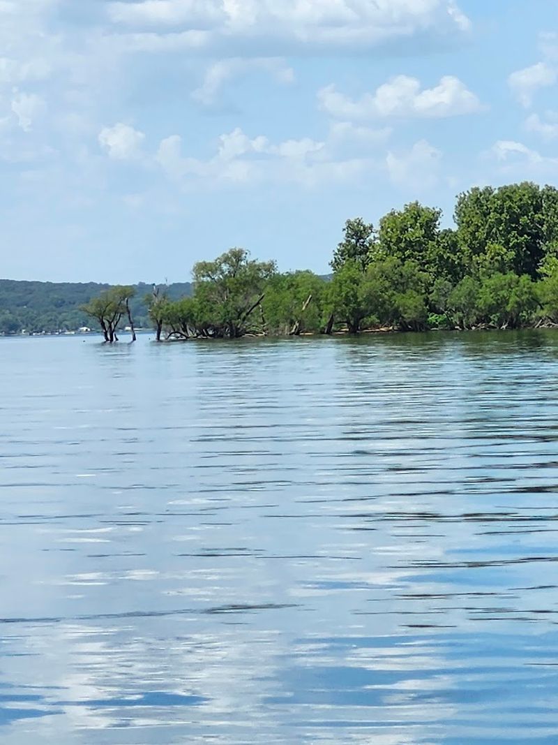 The Shoreline That Never Runs Straight