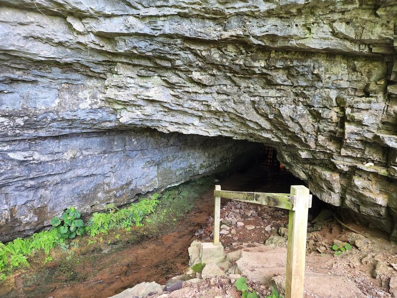 The Bell Witch Cave - Adams, Tennessee