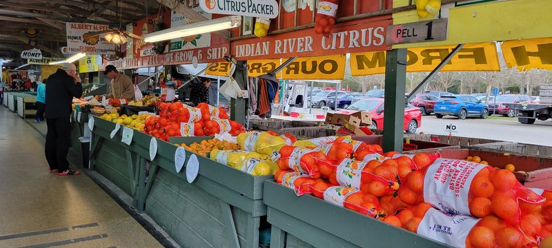 Daytona Flea & Farmers Market – Daytona Beach