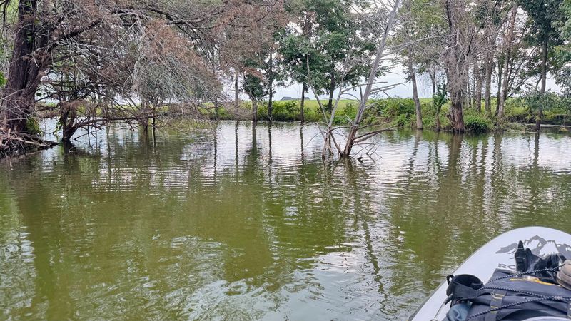 Spring Wildflowers and the Colors Along the Banks