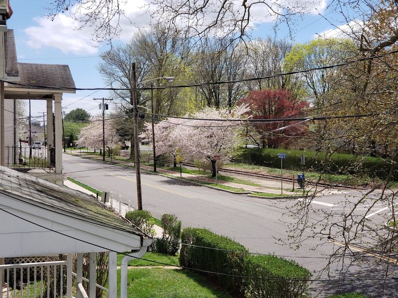 Freehold Rocks the Monmouth County Scene - Sunday, March 15, 2026 at 12:30 p.m.