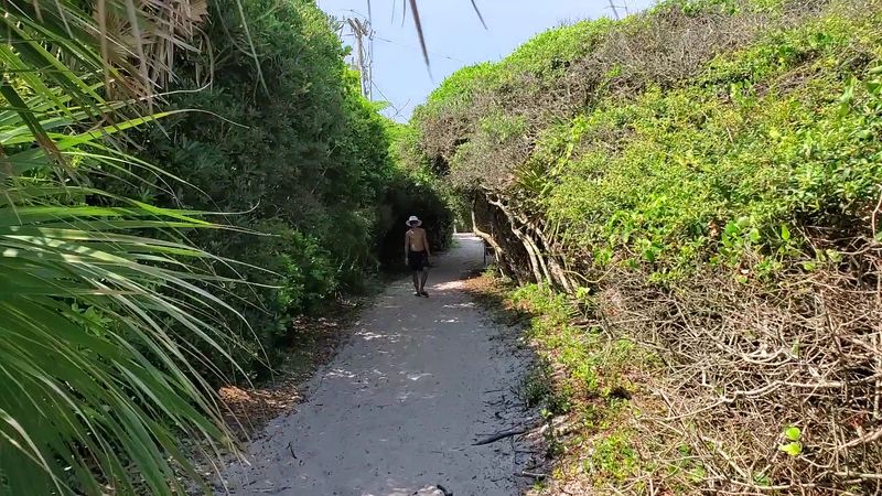 The Coastal Dune Trail That Feels Like a Different World