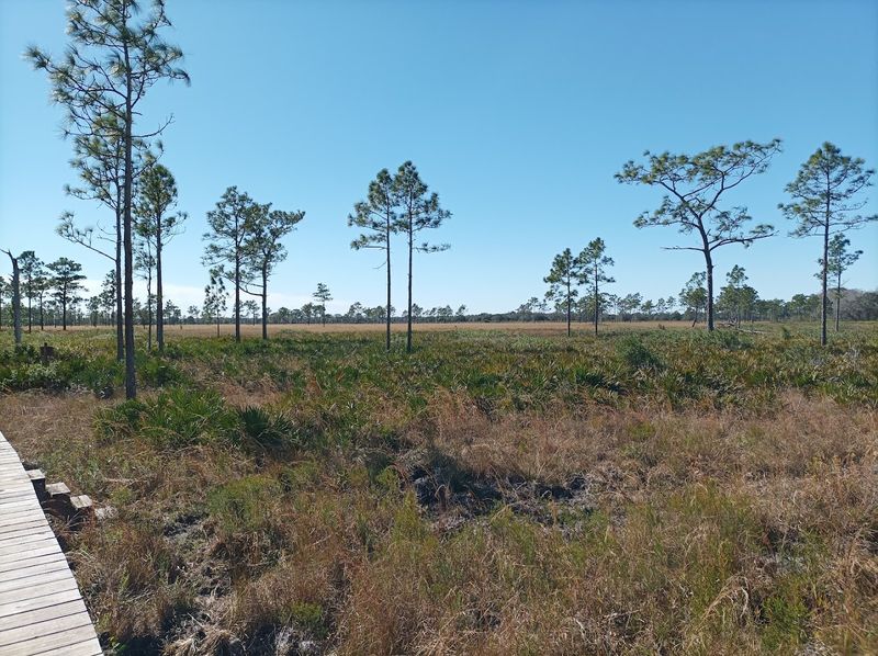 Practical Tips for First-Time Visitors