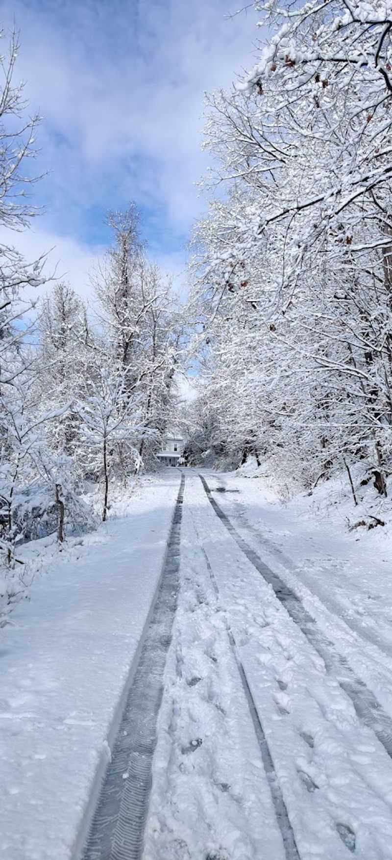 Best Times to Visit and What to Expect