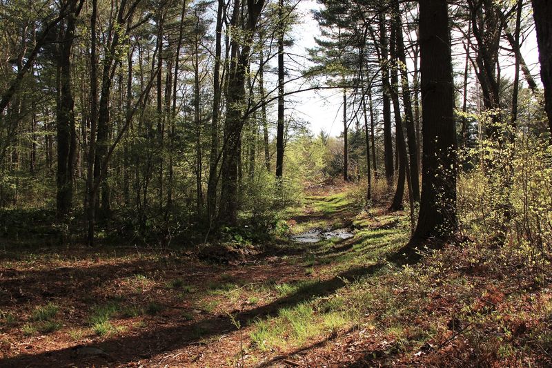 Where the Stories Started