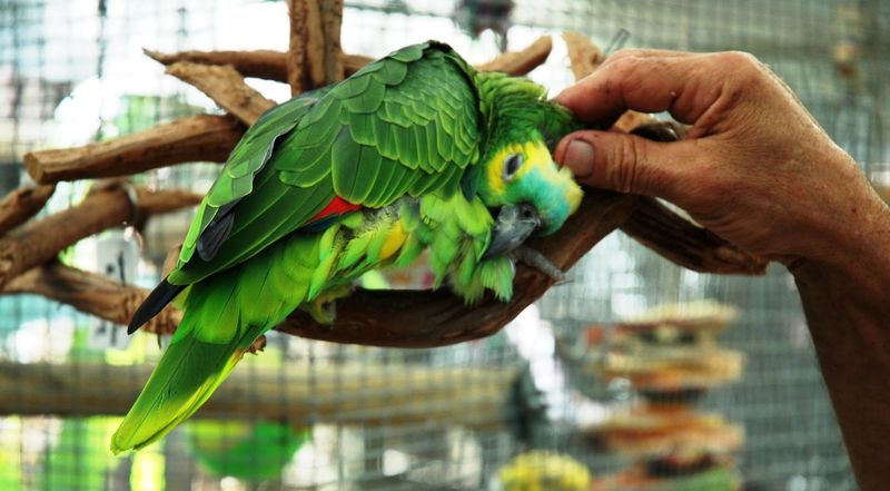 Volunteering at Zaksee: A Truly Rewarding Experience