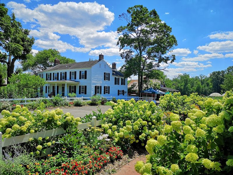 A Closing Basket of Reasons