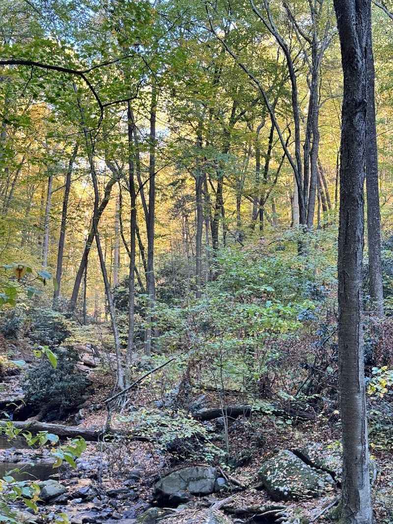 The Climb Up: What to Expect Underfoot