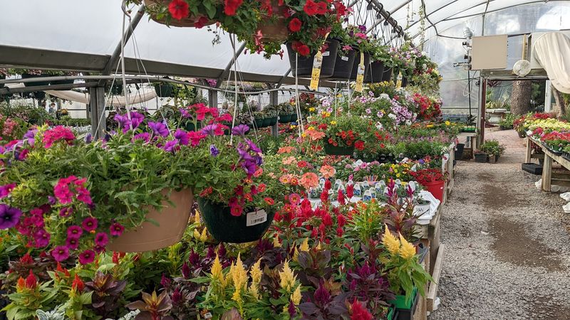 A Place Worth the Trip From Anywhere in Oklahoma