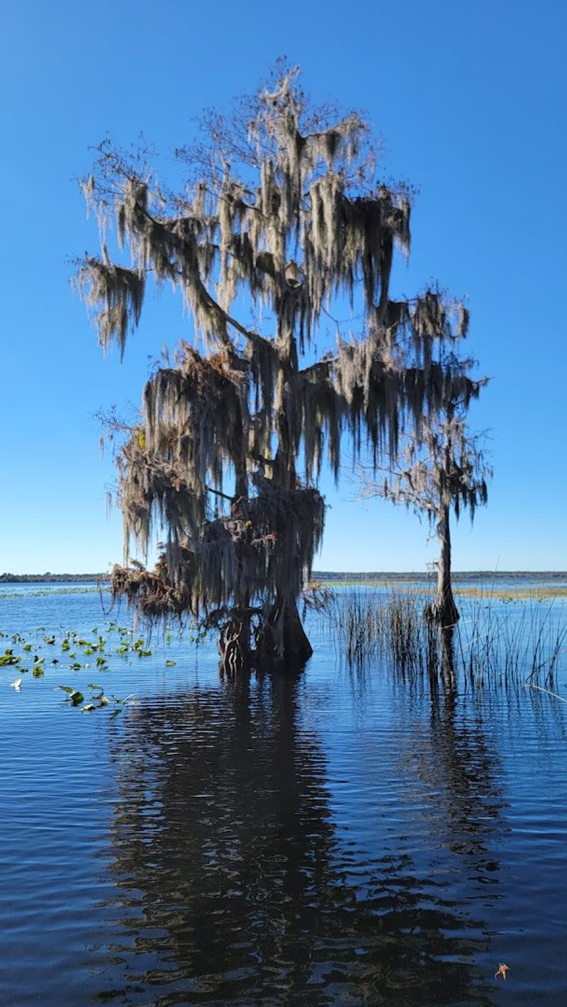 Why People Keep Coming Back Year After Year