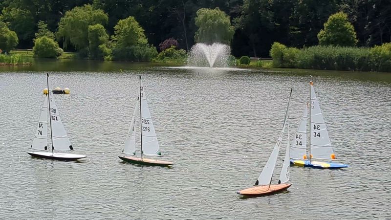 The Family and Dog Owner Verdict