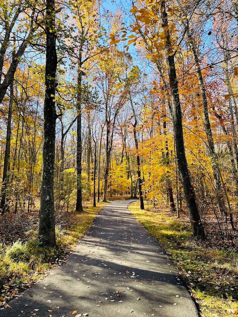 Tips for a Better Visit