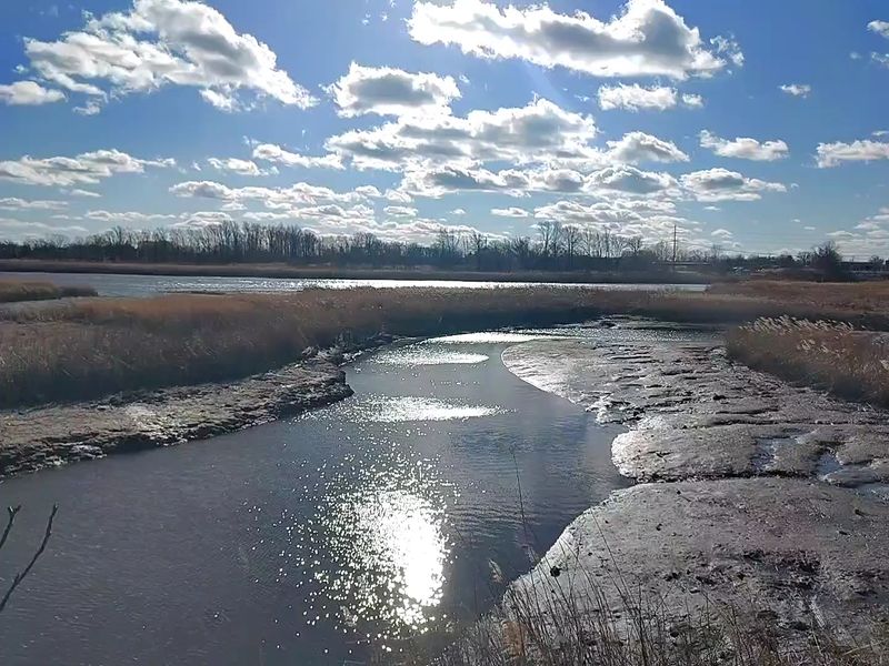 Closing Thoughts on a Surprising Urban Trail