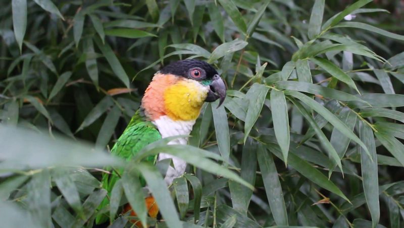 The Community That Has Grown Around This Place