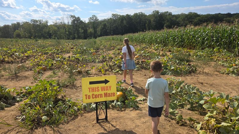 A Destination for Families With Children