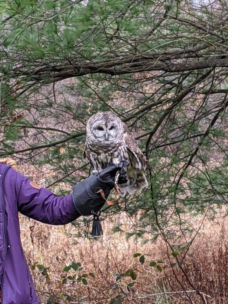 The Release Rate and What It Means