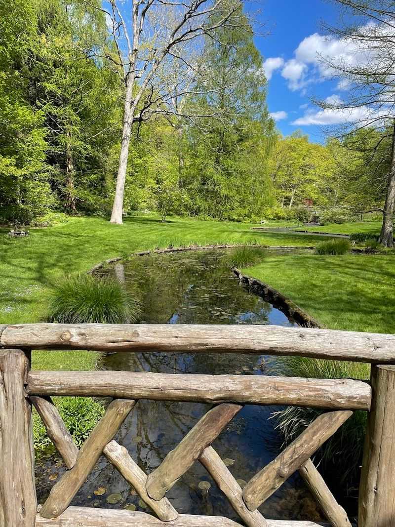 The Moggy Hollow Stream and Valley