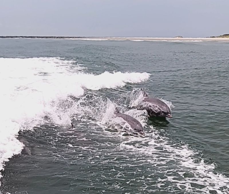 Repeat Visitors: Why Guests Come Back Every Season