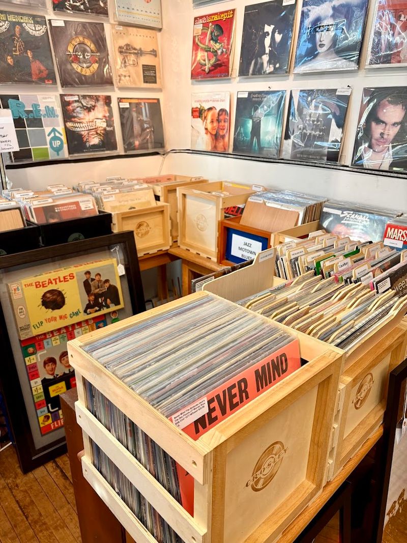 The Vinyl Record Department