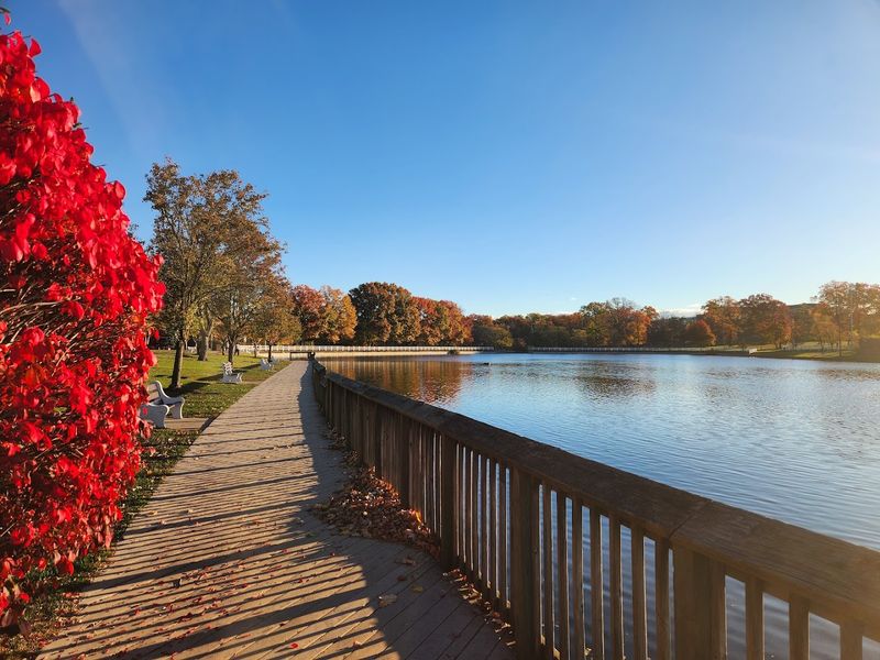 Useful tips before you go