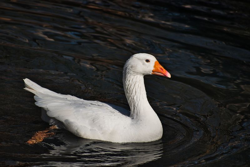 Seasonal Events That Give You a Reason to Return