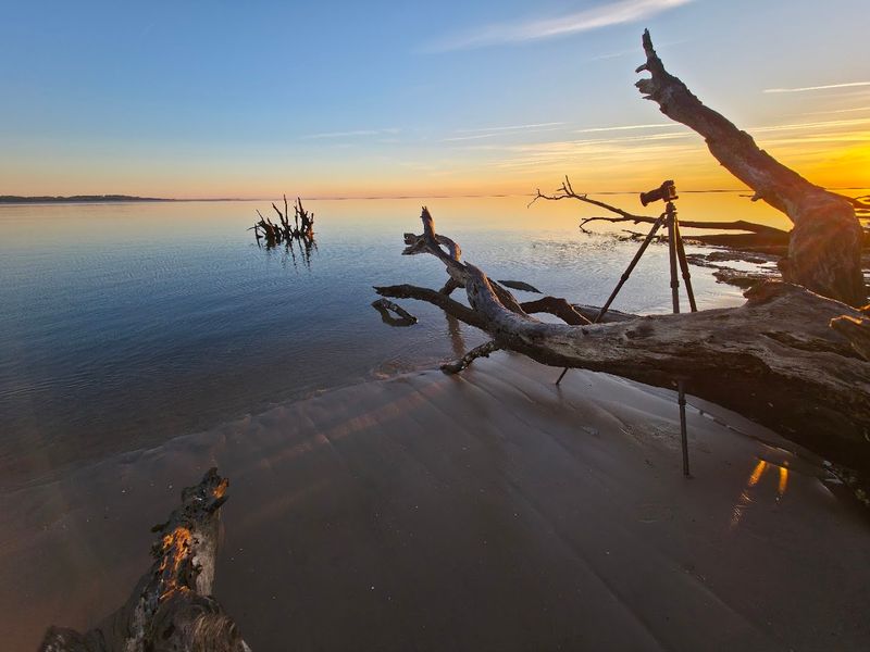 Photography Opportunities That Are Hard to Beat