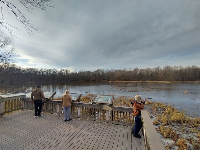 The Wildlife You Can Expect to Encounter