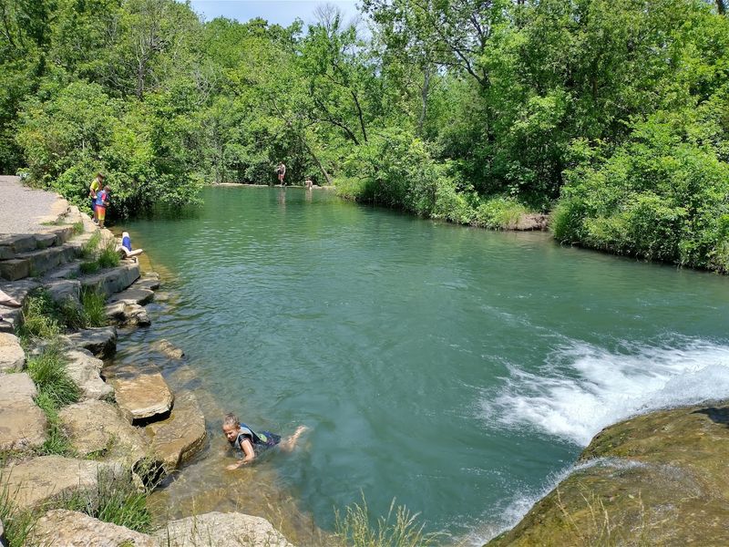 Swimming and Cooling Off in the Springs
