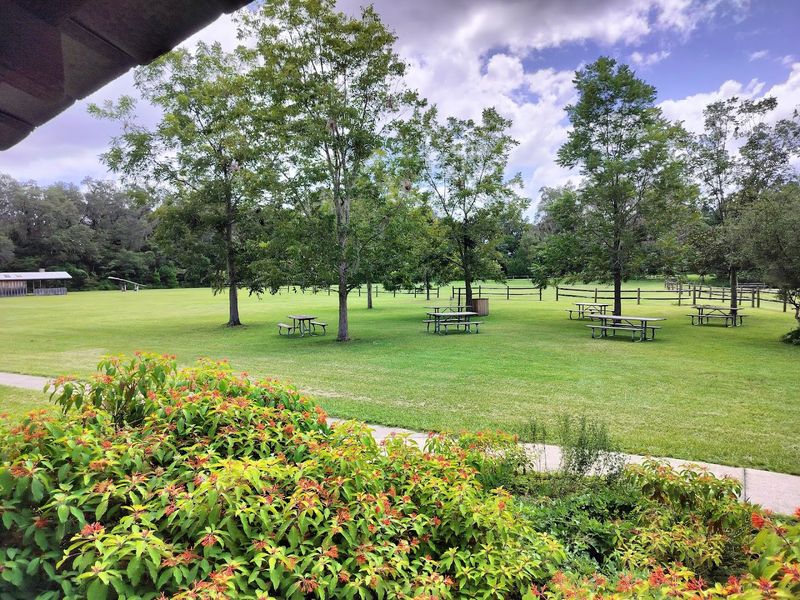 Tips for Families and Young Visitors