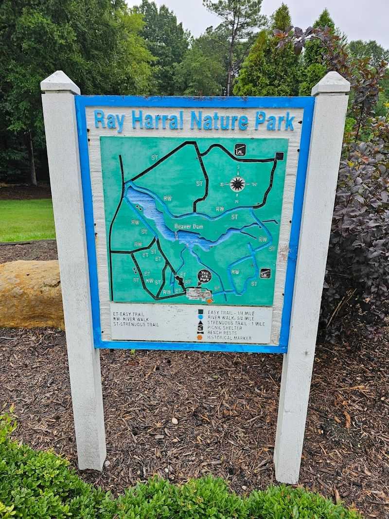 The Trail System and How to Navigate It