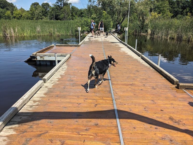 How the Park Handles the Practical Stuff Really Well