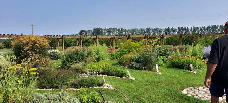 Walking the Path: What the Experience Feels Like