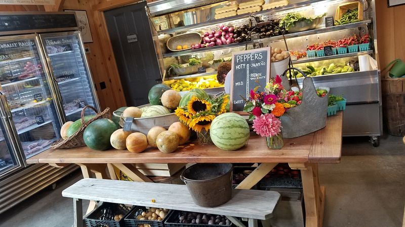 Planning Your Visit: Practical Tips