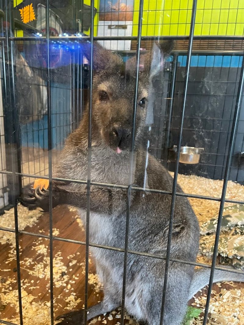 Tickets, Pricing, and How to Plan Your Visit