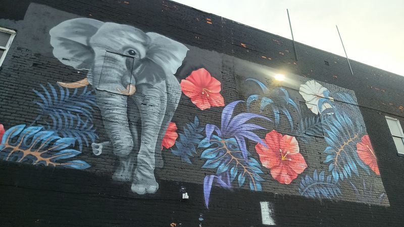 Why The Elephant Room Keeps Drawing People Back