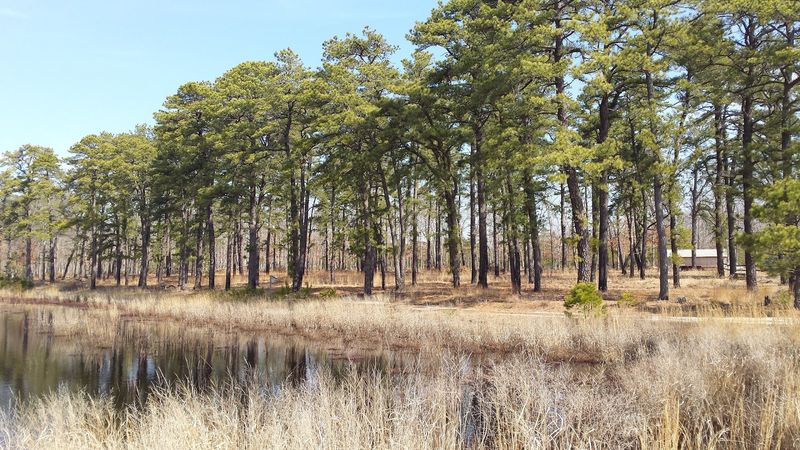 Tips for First-Time Visitors Who Want to Get It Right