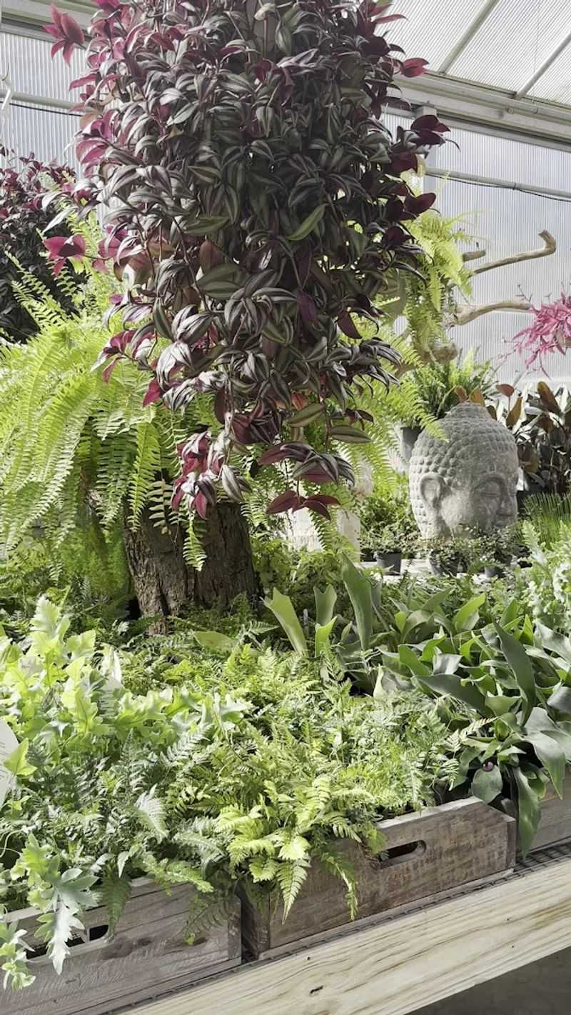 The Plant Selection That Sets It Apart From Other Garden Centers