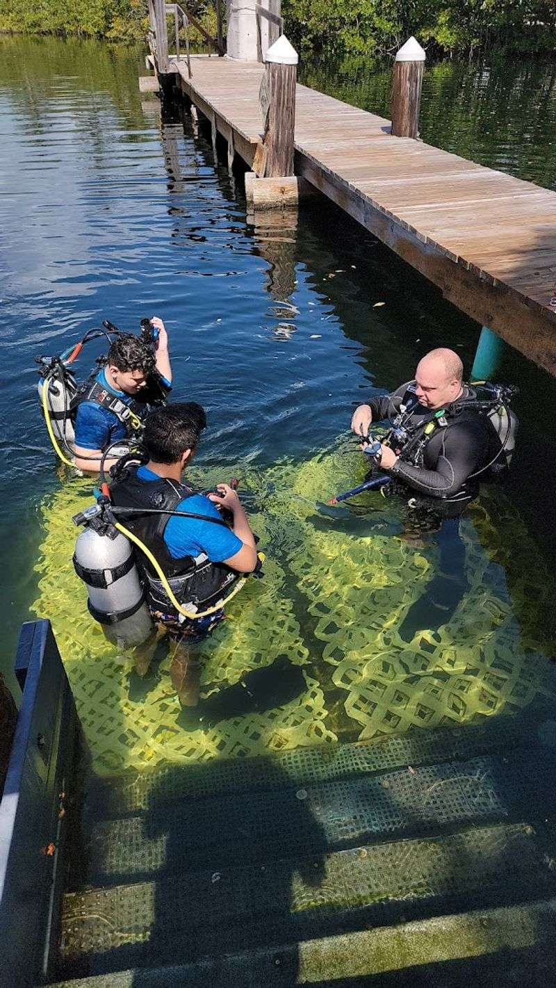 The Aquanaut Certification Experience