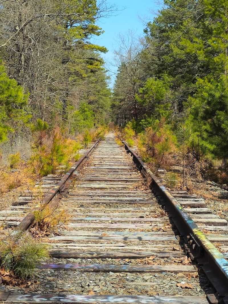 The Old Railroad Tracks That Still Run Through the Site