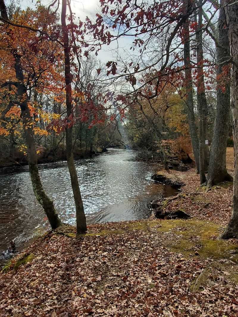 Fall and Spring: The Best Times to Make the Trip