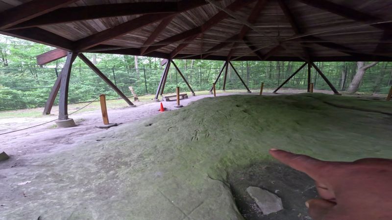 The Protective Enclosure and Viewing Experience