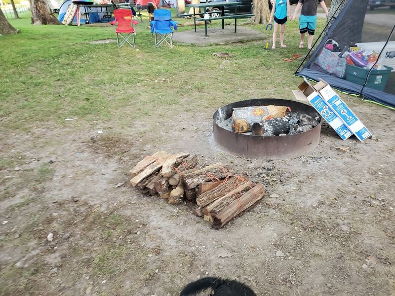 The Concession Stand and Food Options
