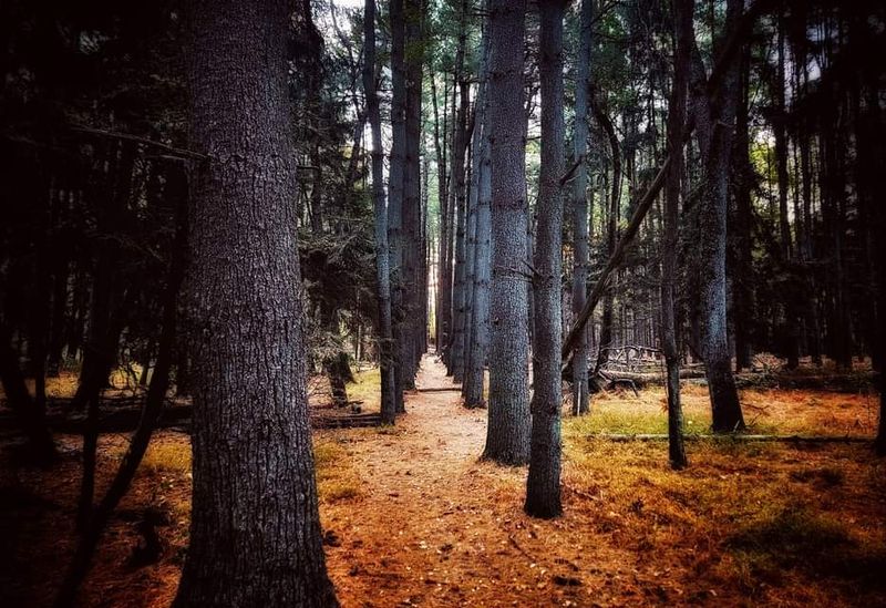 Why This Place Keeps Drawing People Back