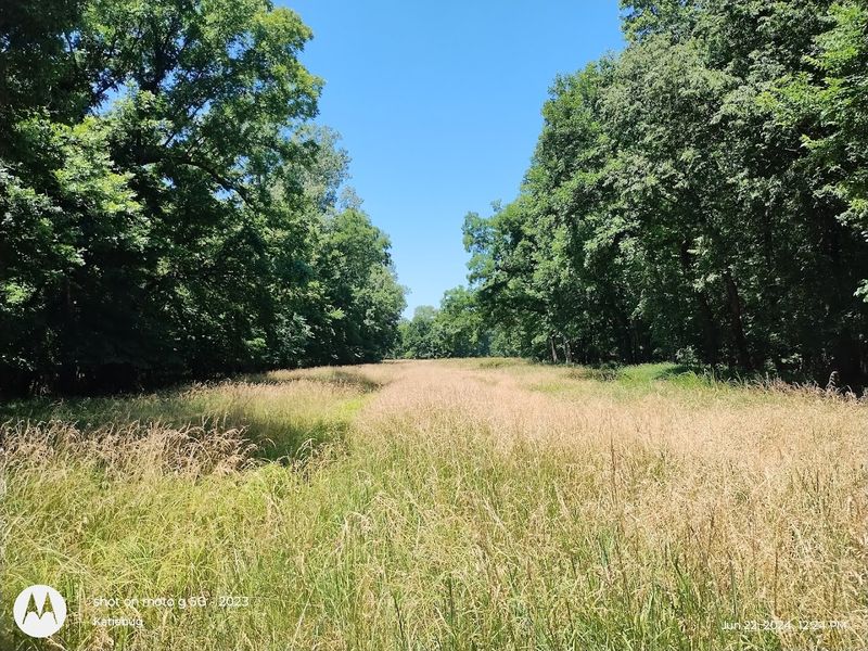 The Sounds and Atmosphere Along the Trails